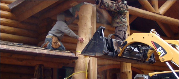 Log Home Log Replacement  Lee County, Virginia